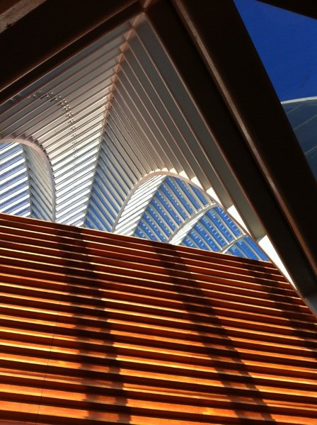 Why You Should Reconsider Morning Coffee