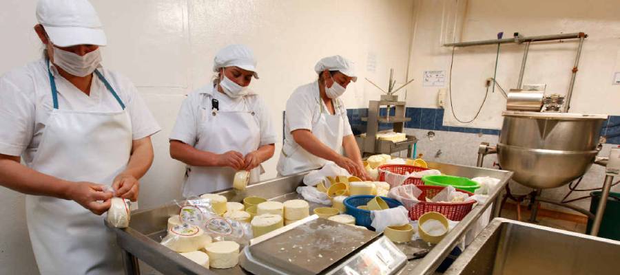 Microempreendedorismo no Brasil: Supere desafios de planejamento