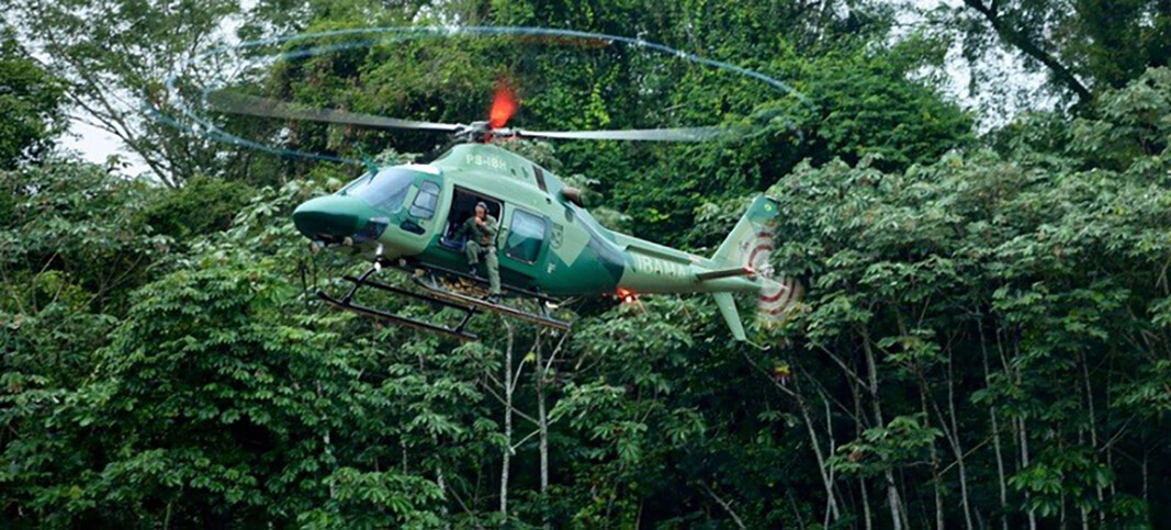 Ibama combate garimpo ilegal na floresta das árvores gigantes