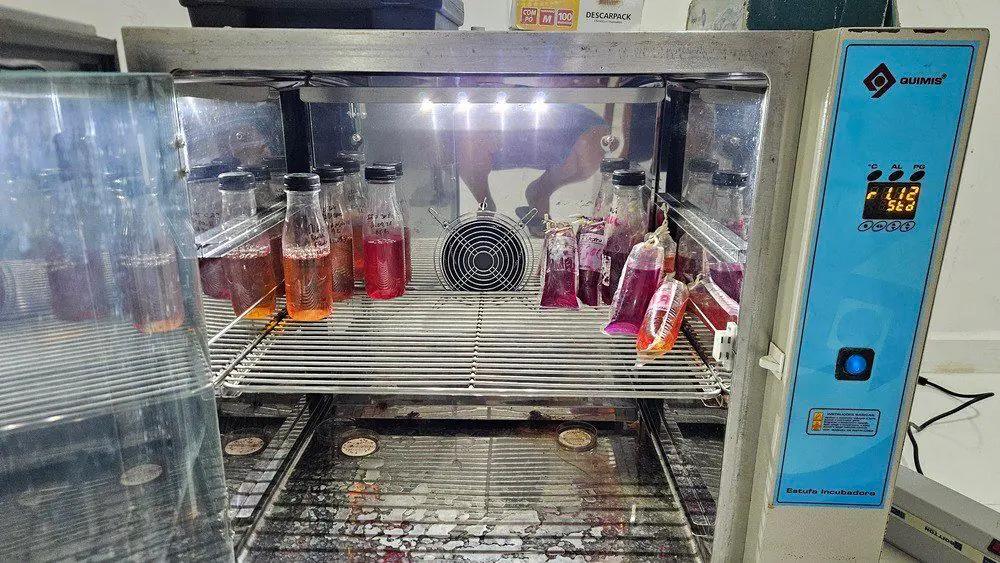 Funasa analisa qualidade da água em comunidades de Mazagão para saúde transparente
